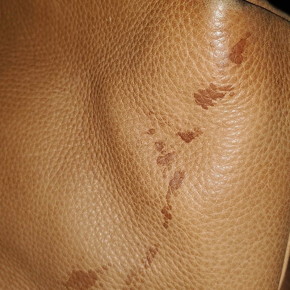 Fossil tote - Picture 6 of 7